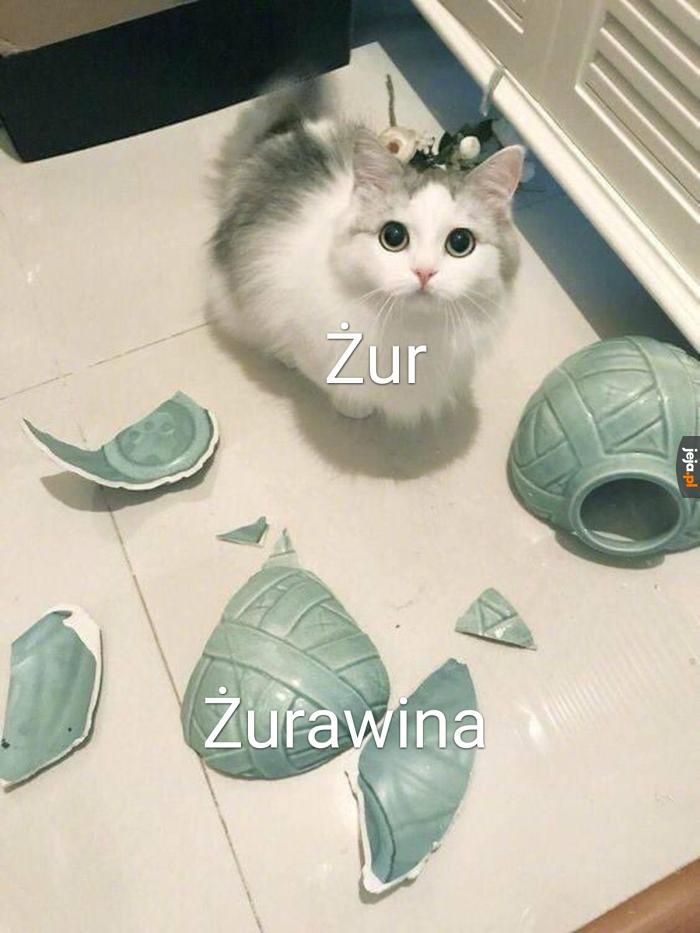 Sprawca jest oczywisty