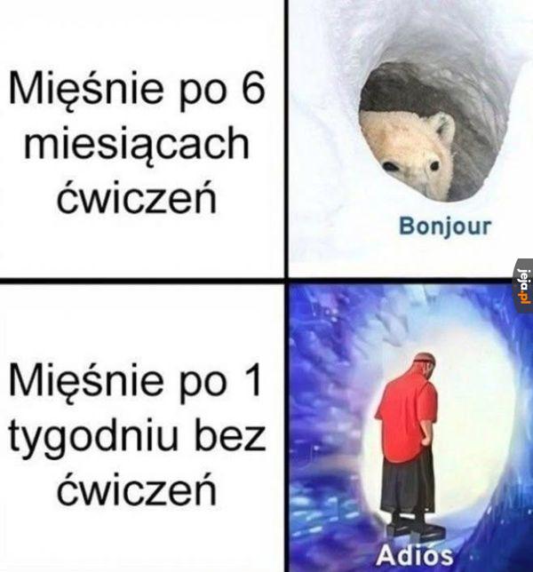 Cały trud na marne