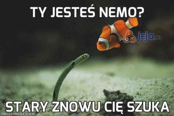 Ty jesteś Nemo?
