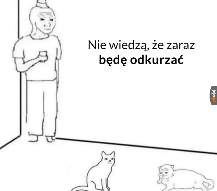 Postrach kiciów, kurde faja
