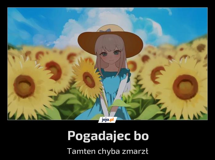 Pogadajec bo