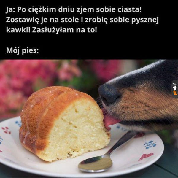 Polizane zaklepane