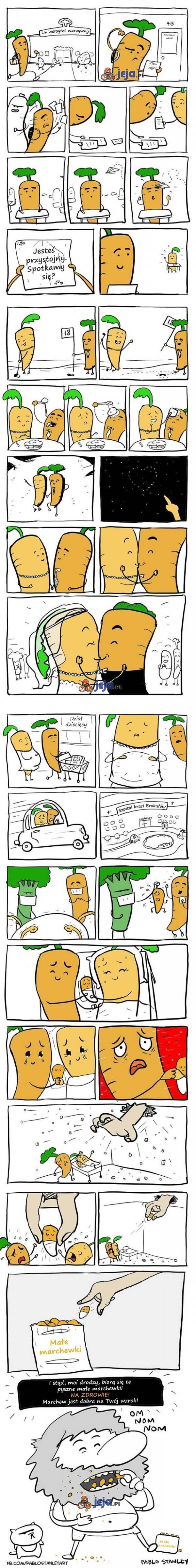 Historia pewnej marchewki
