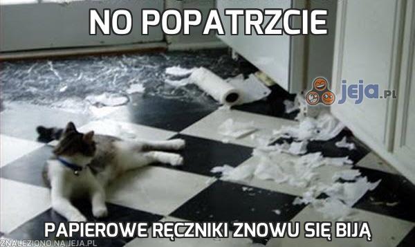 No popatrzcie