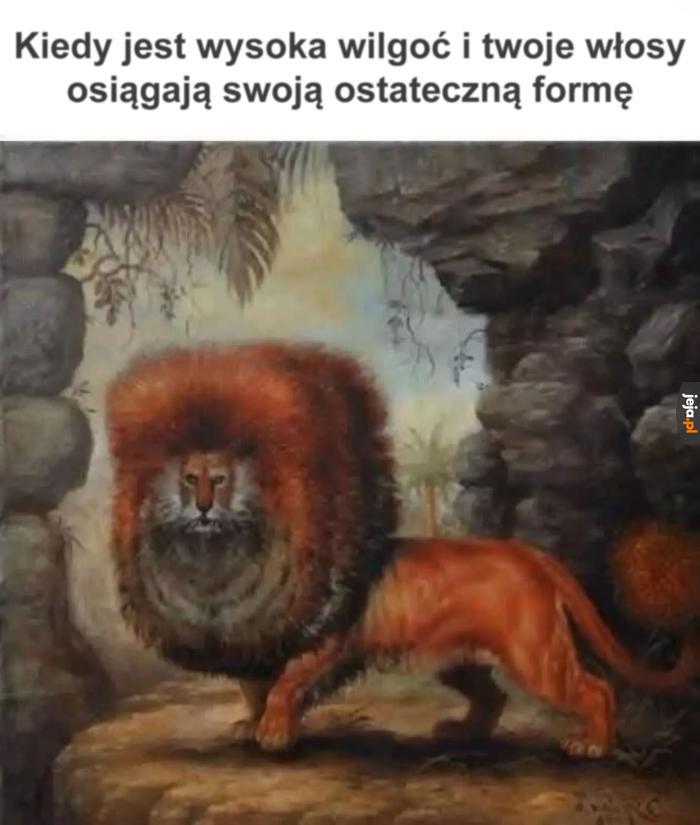 Majestat i piękno