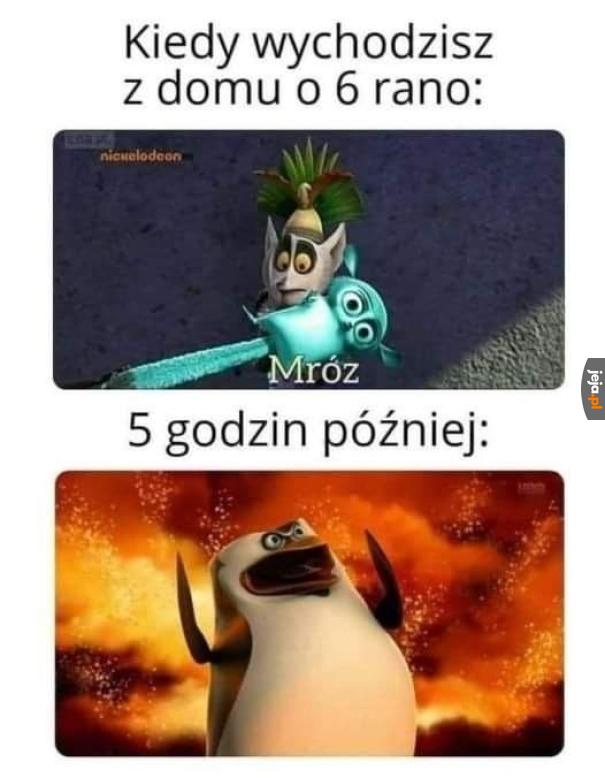 I weź zdecyduj w czym iść