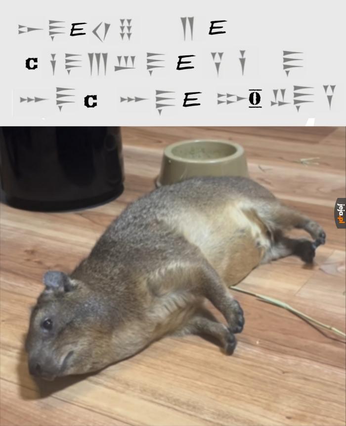 E C O to wskazówki dla zuchwałych