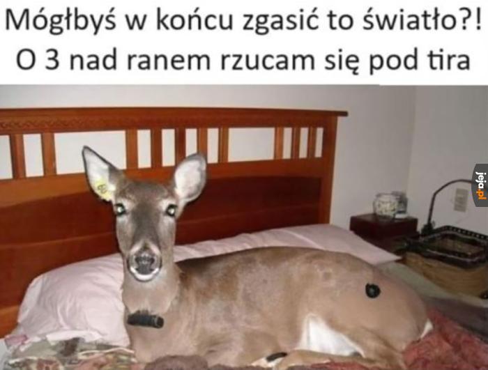 Niektórzy z nas PRACUJĄ