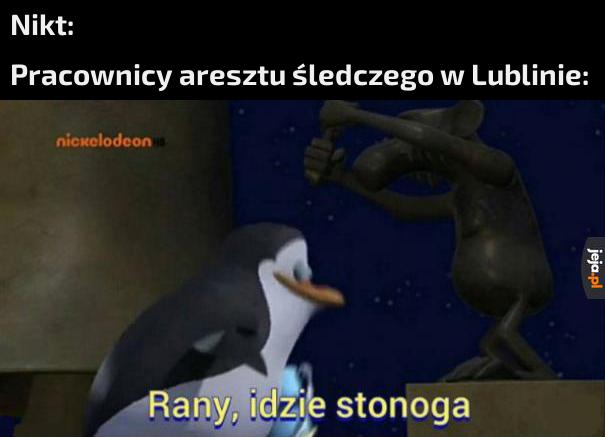 Witamy celebrytę
