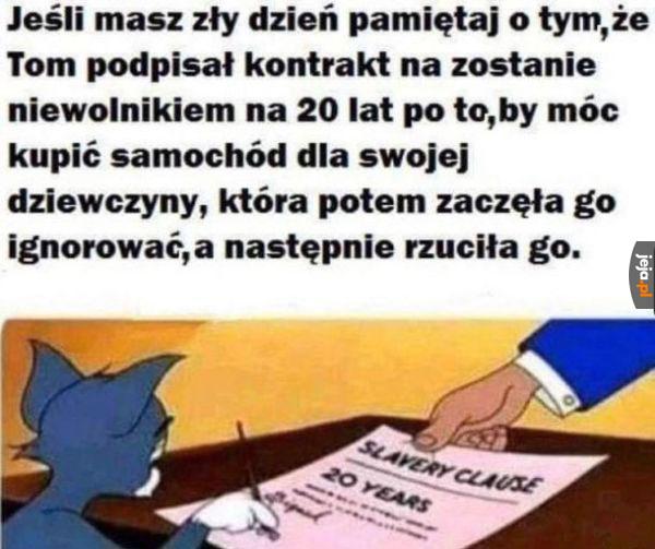 Bo to zła kocica była