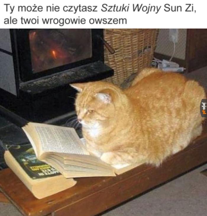 Mają przewagę
