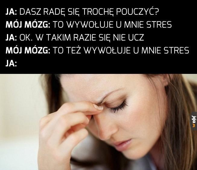 Mój mózg