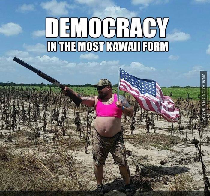 Demokracja kawaii