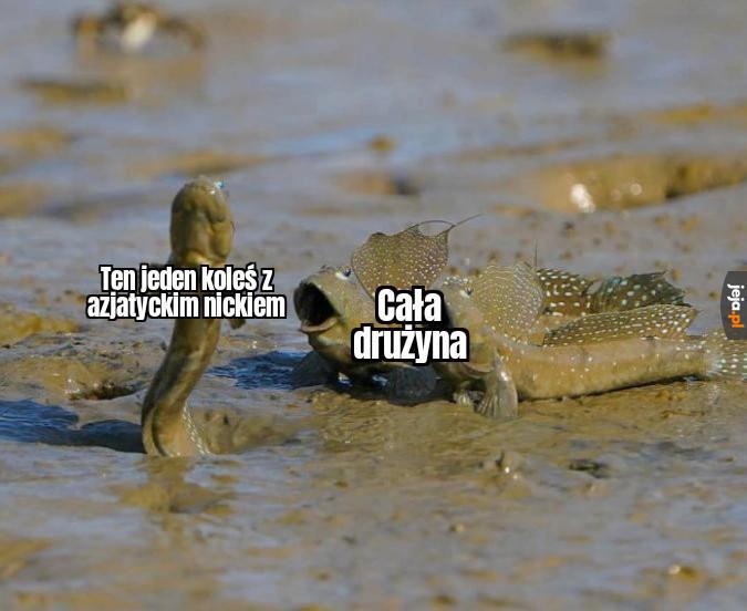 Potęga w najczystszej postaci
