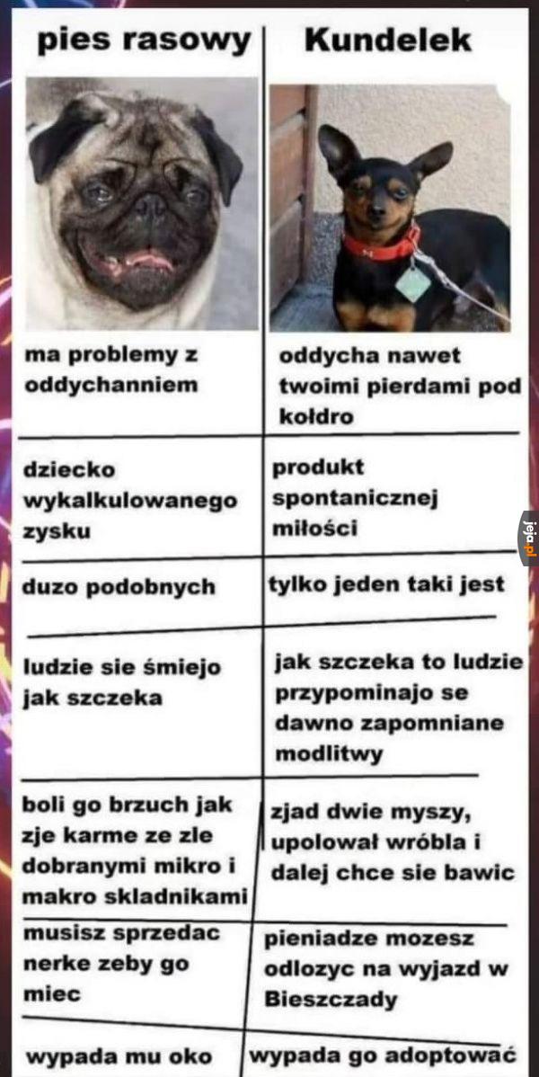 Weź kundelka lepiej