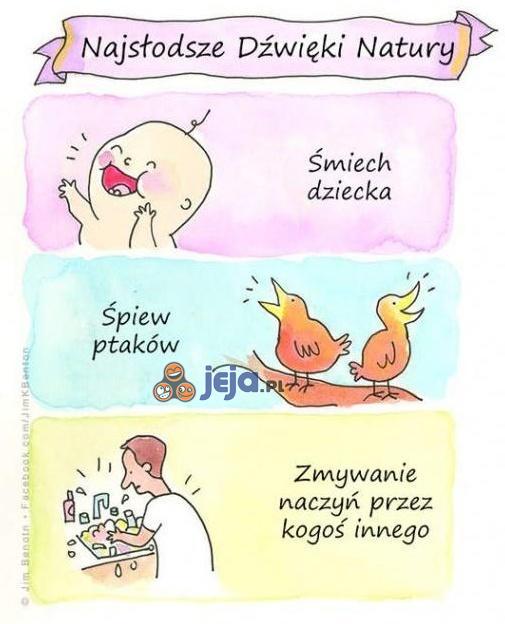 Najsłodsze dźwięki natury