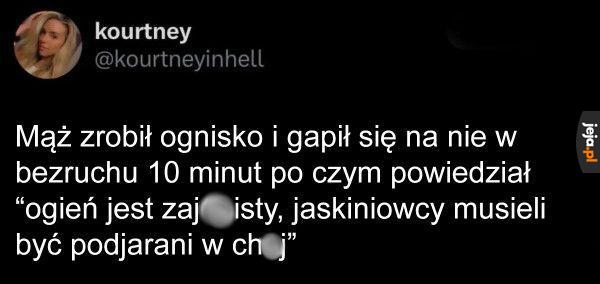 Coś w tym jest