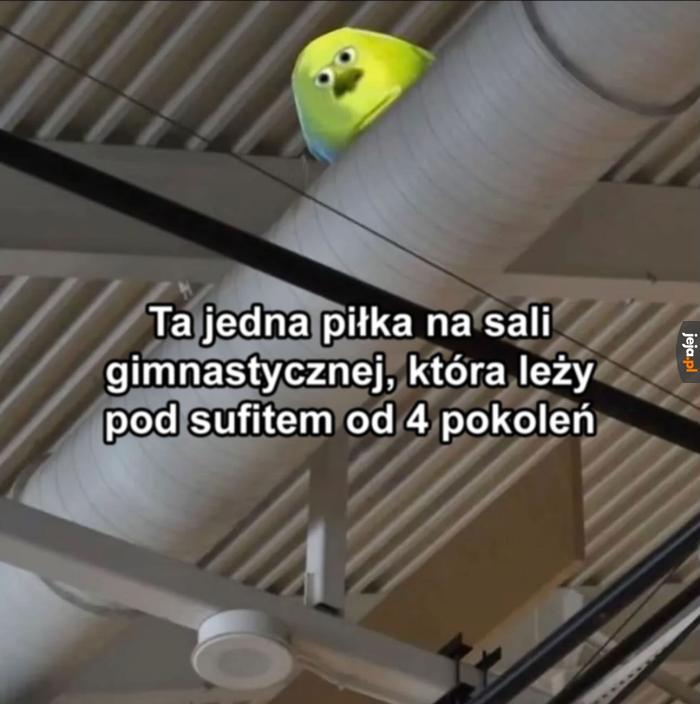 Wiele już widziała