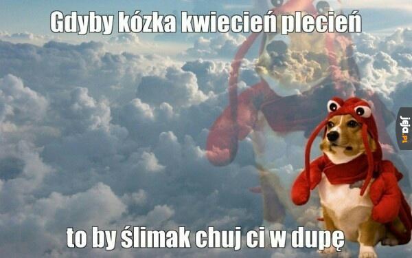 Słowiańskie przysłowie