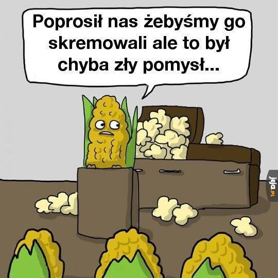 Kremacja była błędem...