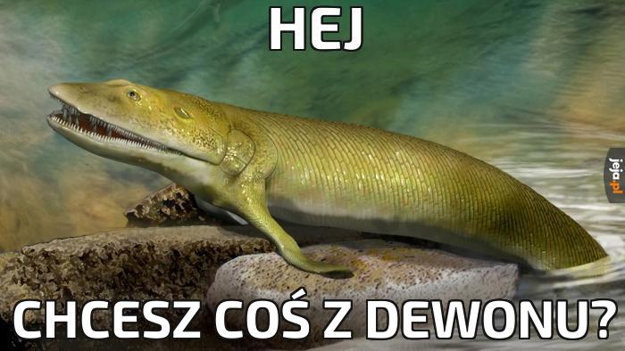 Hej