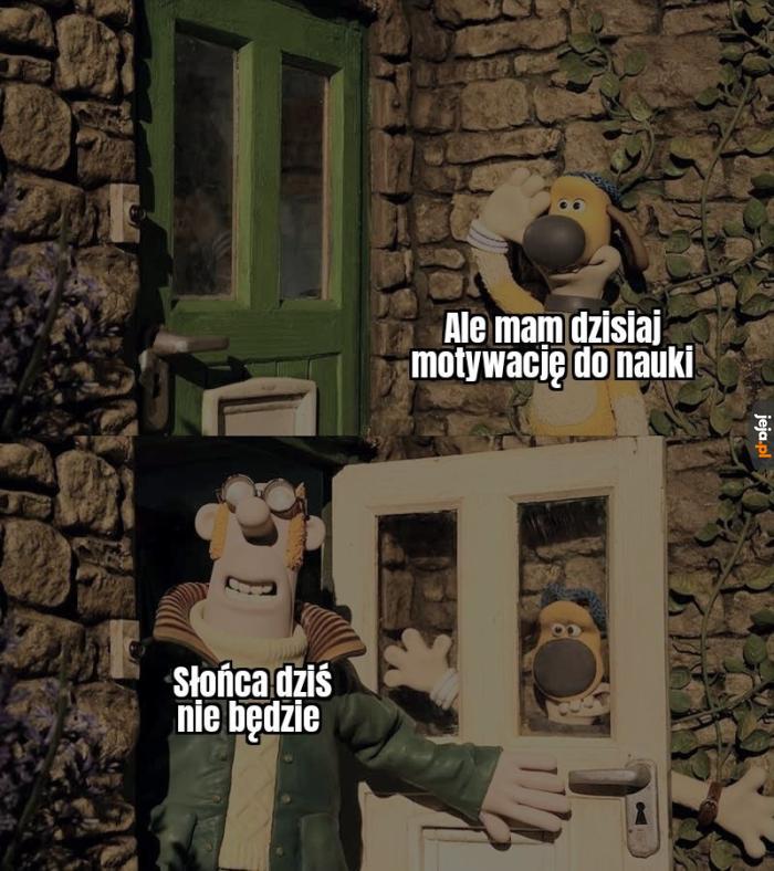Kocham zimę