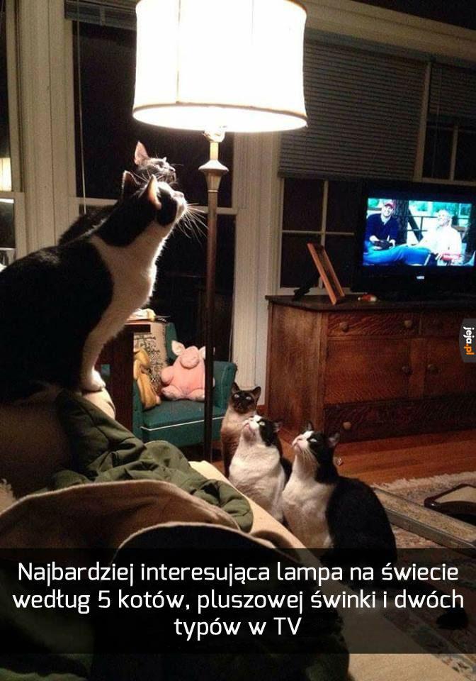 Najciekawsza lampa na świecie