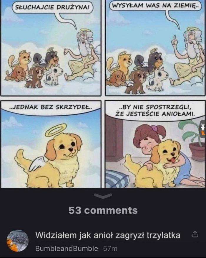 Zdarzają się wyjątki