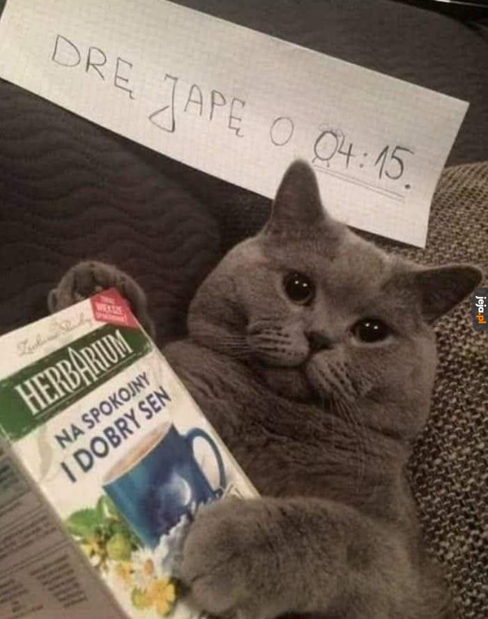 Taka jego rola