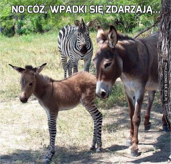 No cóż, wpadki się zdarzają...
