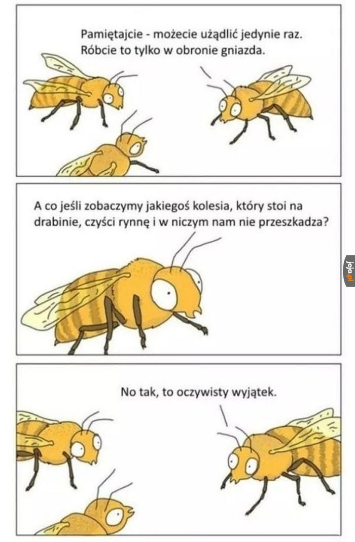Jego można dźgać