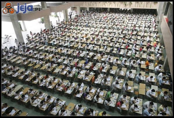 Studenci zdają egzamin