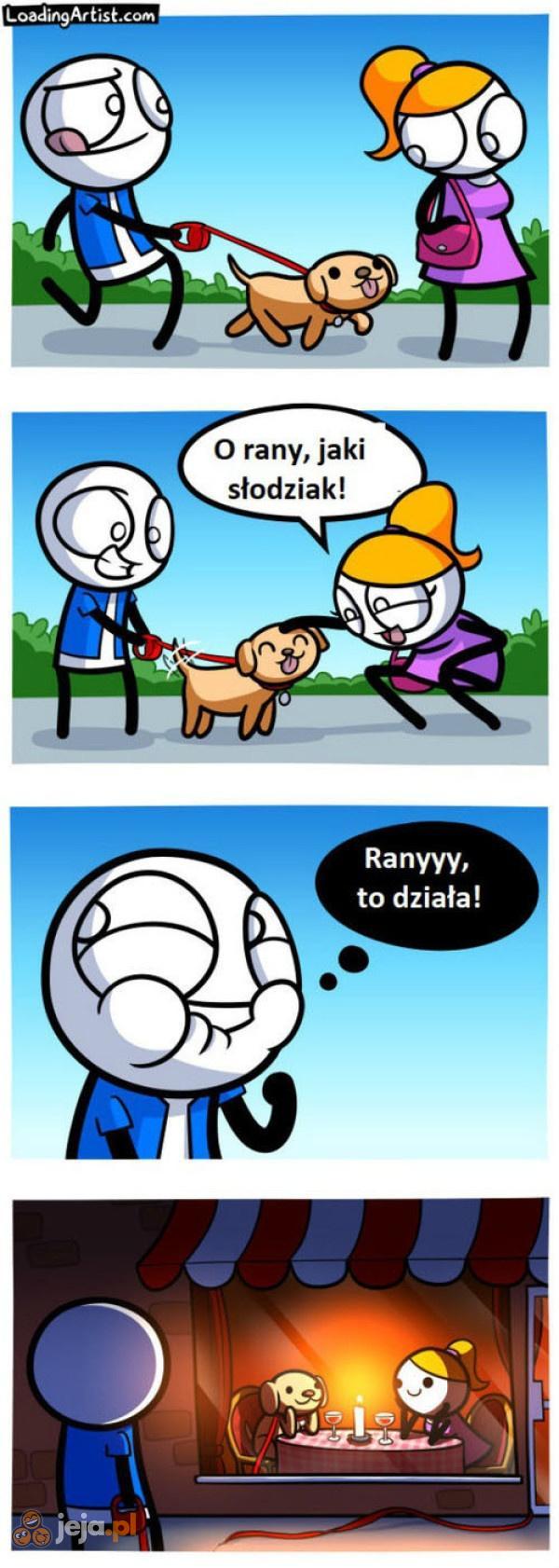 Podryw na psiaka