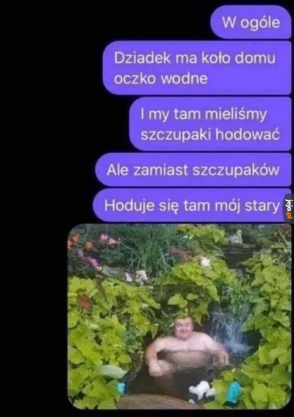 Staw ze starym