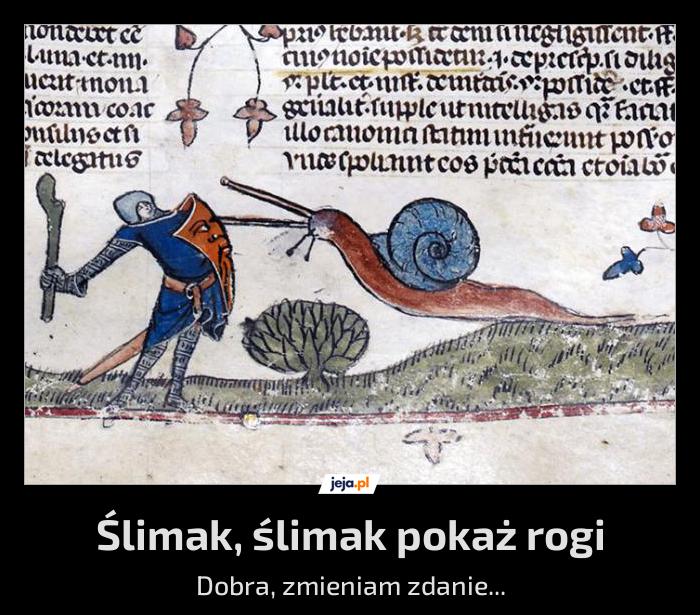 Średniowieczne ślimaki robiły wrażenie