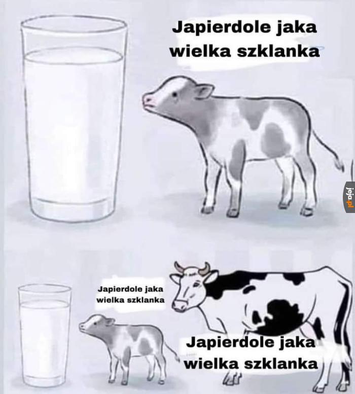Robi wrażenie