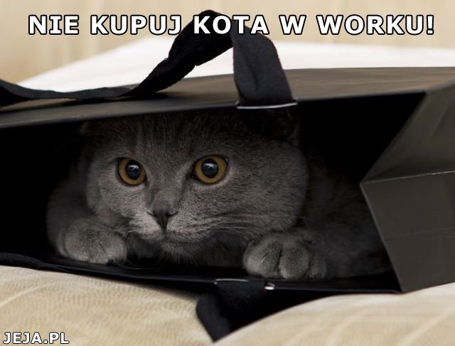 Nie kupuj kota w worku!