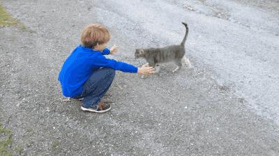 Awww, sama słodycz