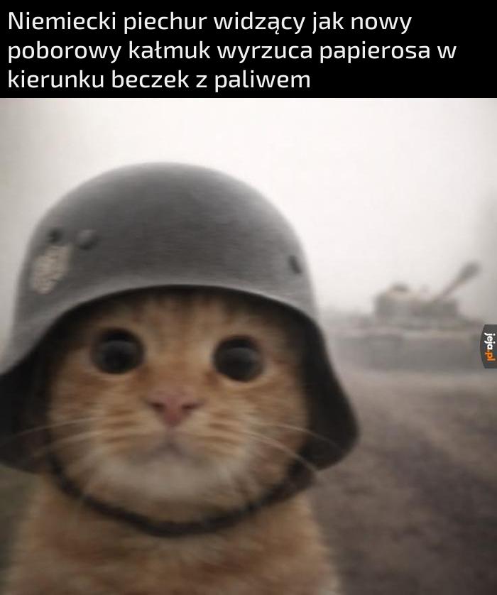 Anony,,,,to sie nie dzieje