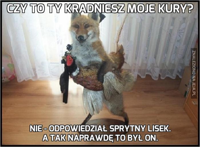 Czy to ty kradniesz moje kury?