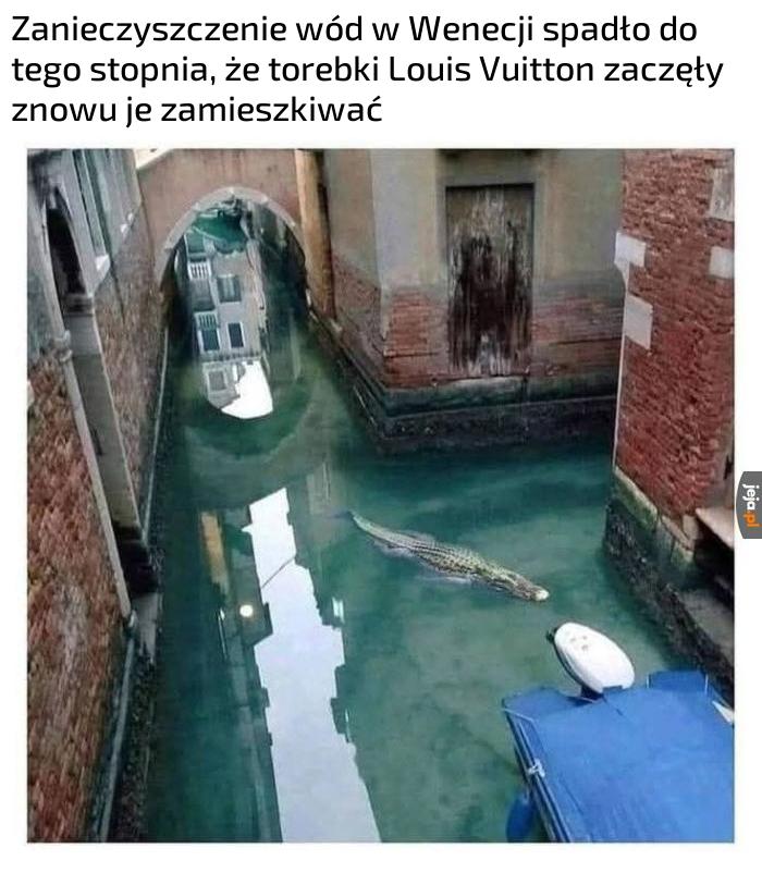 Ty i tak powiesz, że to Lacoste