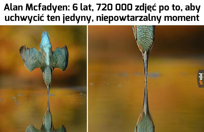 Cierpliwość level 1000