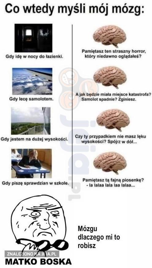 Mózg