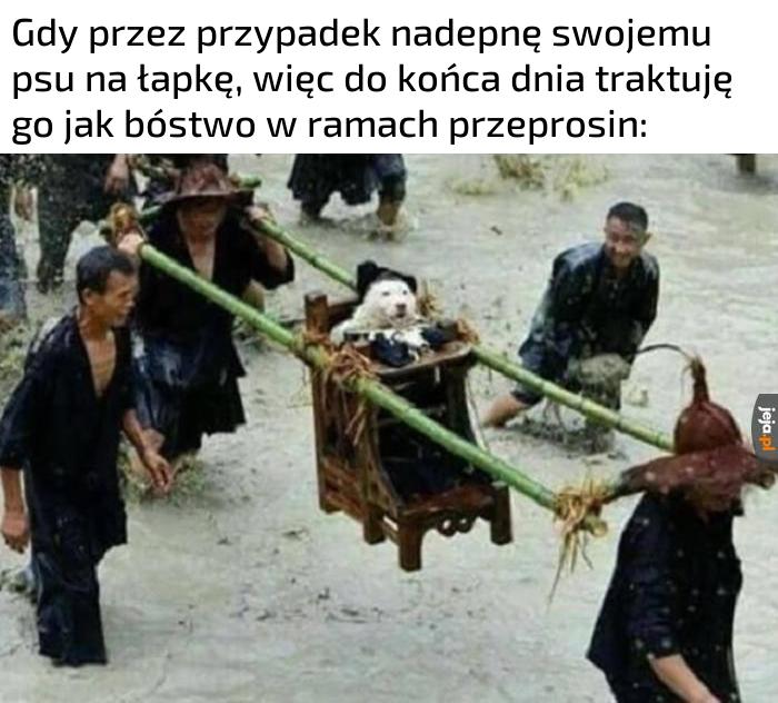 Może mi wybaczy