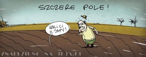 Szczere pole