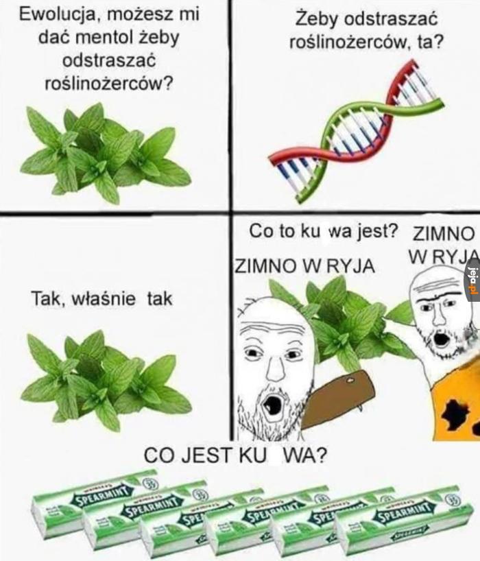 Fajnie szczypie