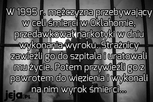 Mimo wszystko byli zobowiązani do przestrzegania prawa