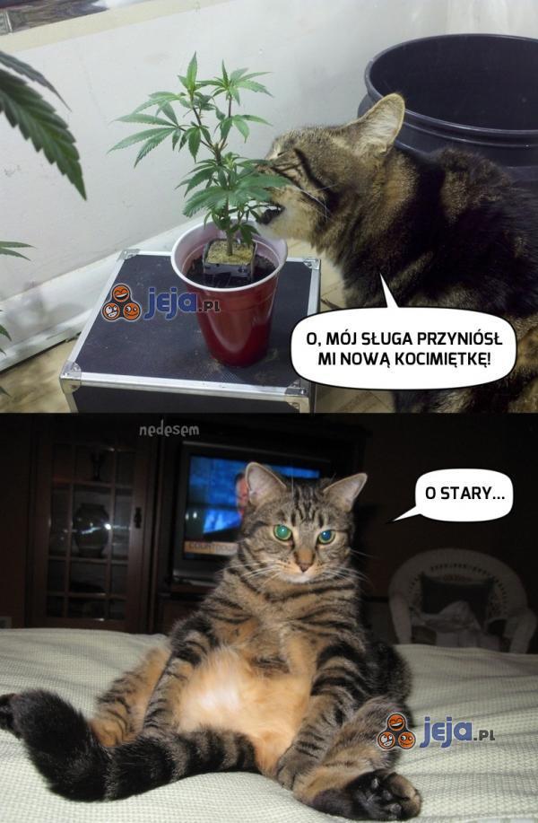 Mocny ten towar...