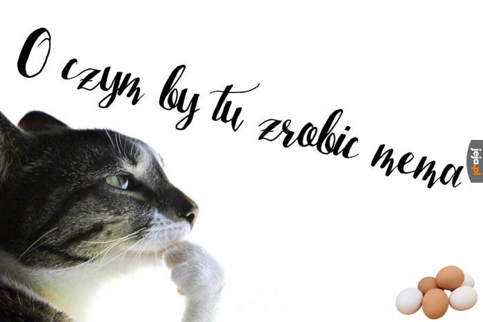 Sry mam oreoporoże