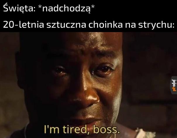 Bywa
